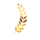 logo-laurel-derecho